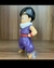 Gohan en internet