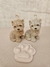 Yorkshire Terrier - comprar en línea