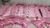 kITS CANDY BAR PERSONALIZADOS