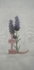 Bordado Monograma Lavanda Letra L