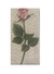 Bordado Rosa com folha