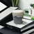 Vela en Base de Cemento - comprar online