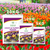 Substrato Vasos e Floreiras Premium para Plantas, Flores, Hortas e Jardinagem Nutritiva