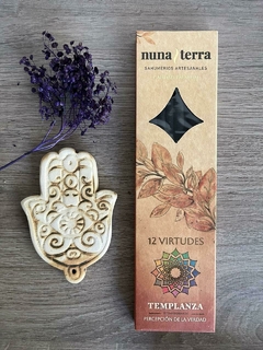 Nuna Terra en internet