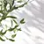 Foliage Shadow