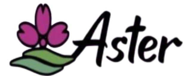 LOJA ASTER