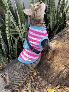 Musculosa Rayada con Riñonera