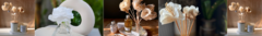 Banner de la categoría Flores difusoras