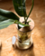 Floreros sustentables - by NEPAL - comprar online
