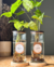 Floreros sustentables - by NEPAL - tienda online