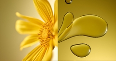 Banner de la categoría Perfumería