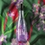 Ekos · Pataqueira Frescor Eau de toilette