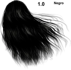 Imagen de Tinte Black Professional