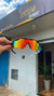 ÓCULOS DE SOL RADAR ARCO IRIS - loja online