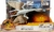 DINOSAURIO QUETZALCOATLUS JURASSIC WORLD 107HDX48
