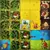 KINGDOMINO BURO en internet