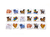MEMOTEST DE LA GRANJA DON RASTRILLO H490 83700490 - comprar online