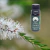 ÓLEO ESSENCIAL MELALEUCA FERIDAS FURÚNCULOS ESPINHAS 10ML - comprar online