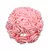 24 pçs 7cm - rosa artificial de espuma / decoração - loja online