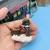 MINIATURA JARDINAGEM -produto importado - loja online