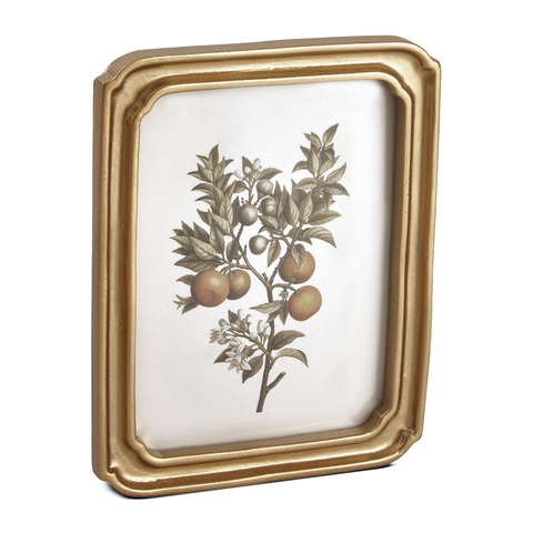 Quadros Laranjeiras Vintage