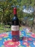 Vinho Piquant Soléil Syrah 750ml - comprar online