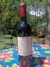 Vinho Piquant Soléil Syrah 750ml na internet