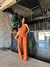 Conjunto Lily