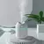 Mini umidificador portátil 250ml mini copo spray névoa umidificador duplo molhado aroma difusor de óleo essencial na internet
