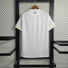 SANTOS HOME 23/24 na internet