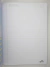 Caderno Colegial Brochura 1 Matéria Merci Magical Dream