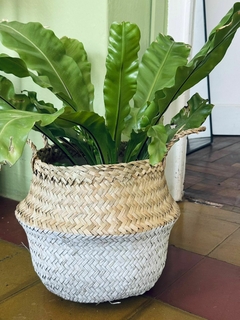 Canasto Organizador Combinado Blanco - comprar online