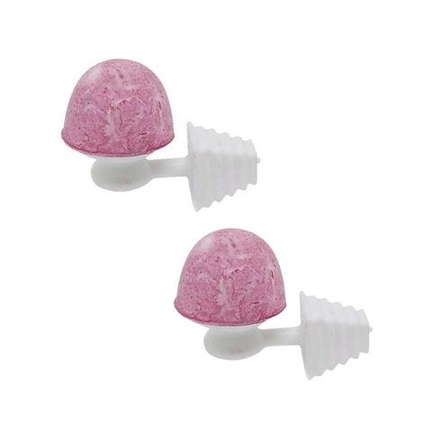 Kit 2un Pedra De Calcio Passaros Em Geral - Toco Tucano