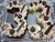 Imagen de Number Cake
