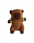 peluche capybara carpincho 25 cm