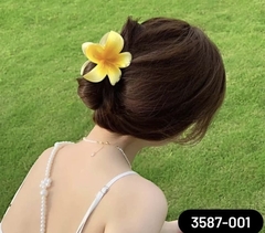 3587-001 broche por 12 en internet