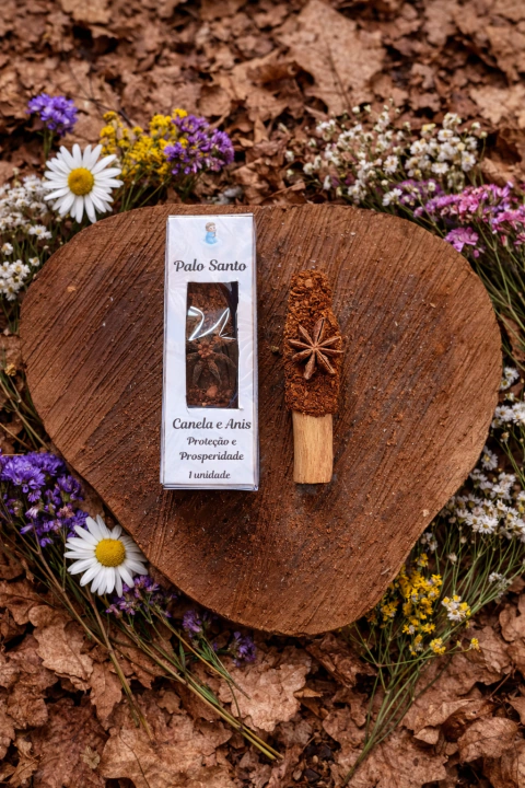 Palo Santo Imantado Canela e Anis Estrelado - comprar online