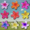 Mini Presilha Flor Pinterest