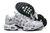 Air Max Plus TN 1 "Dollar"