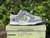 Nike Dunk Low x Union