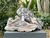 New Balance 9060 Mushroom - comprar online