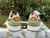 Imagem do Air Jordan 1 Low Year of the Dragon