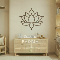 Cuadro PADMA XL