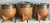 MATE IMPERIAL VIROLA ACERO Y GUARDA ALPACA ( otro proveedor) - COMPARTILO MATES