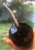 MATE PRISMA CERÁMICA en internet