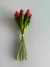 RAMALHETE TULIPA VERMELHA - comprar online