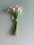 COPO DE LEITE ROSA - comprar online