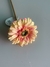 GERBERA MEL - comprar online