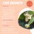 Cheirinho Roupa e Ambiente - 30 ml - loja online