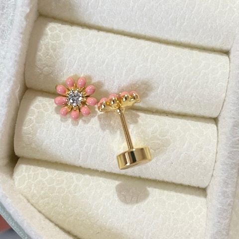 Aros Coral